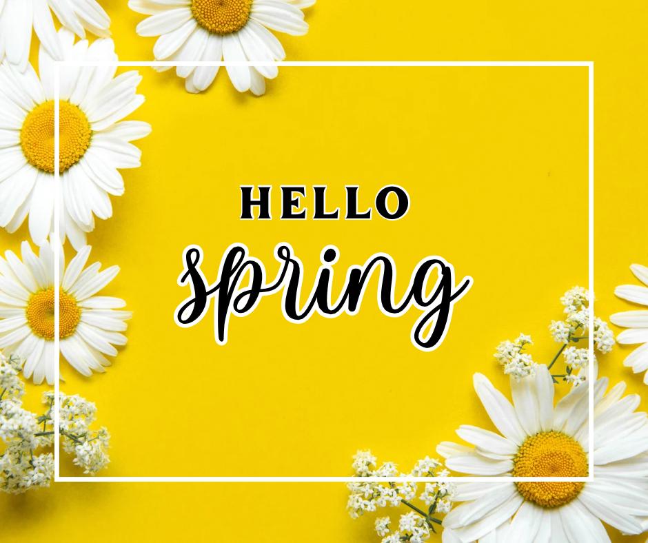 Shop | Spring/Summer Collection