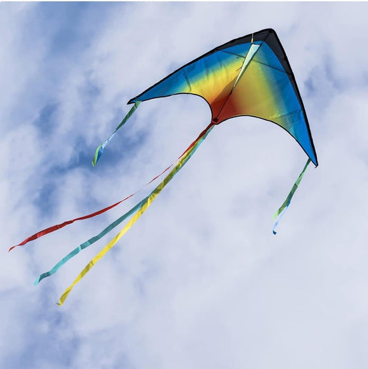 Rainbow Kite