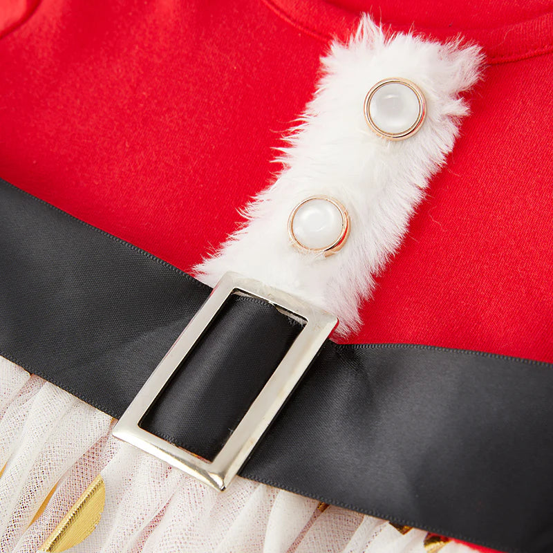 The ‘Ho,Ho Holiday’ Dress | PreOrder