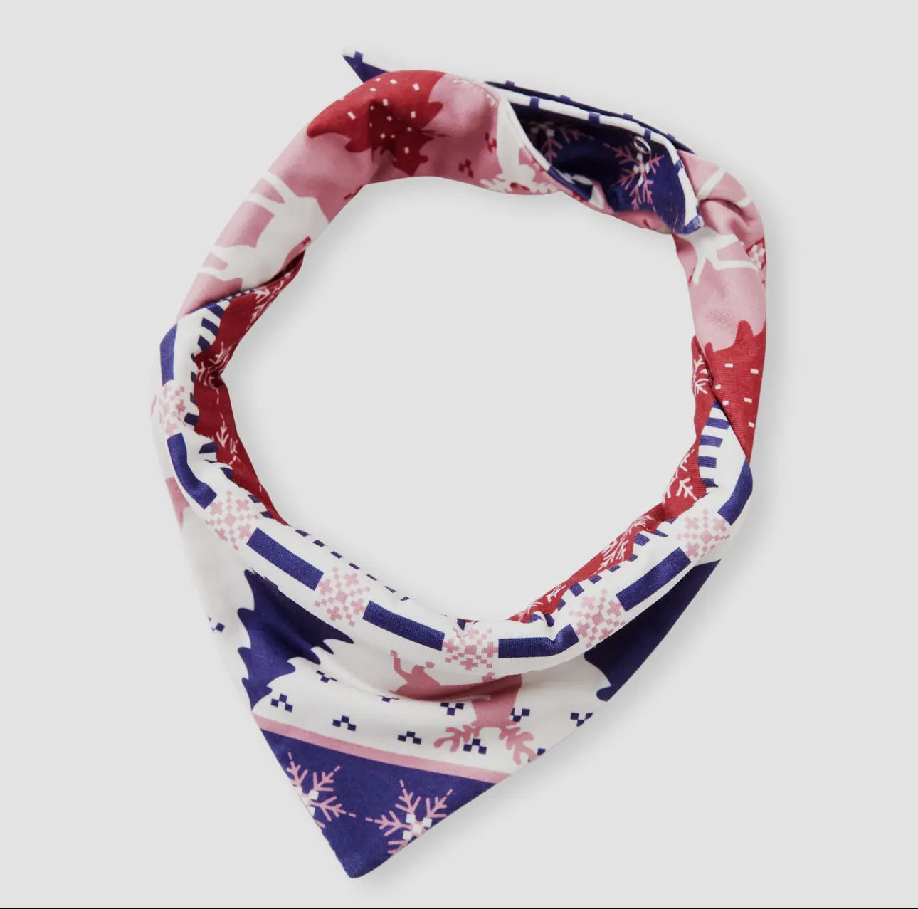 Red Reindeer Family Pjs|  PreOrder